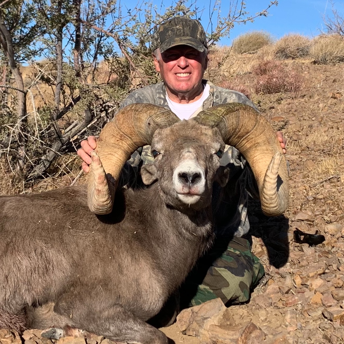 David Coleman Desert Sheep Dry Creek Outfitters New-Rod-Ord Close